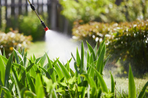 24/7 Emergency Termite Control experts in Hershey, PA